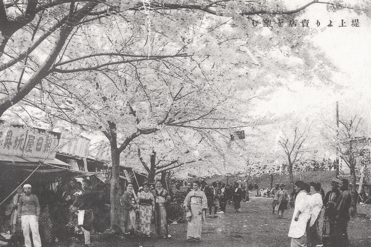 昔の桜まつりの様子