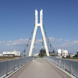 外野橋