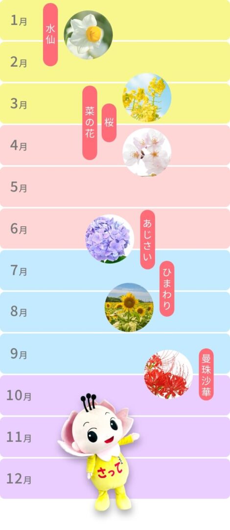 開花カレンダー_縦