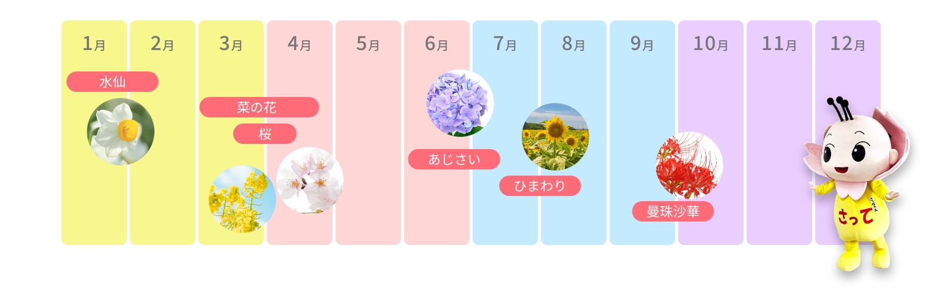 開花カレンダー_横