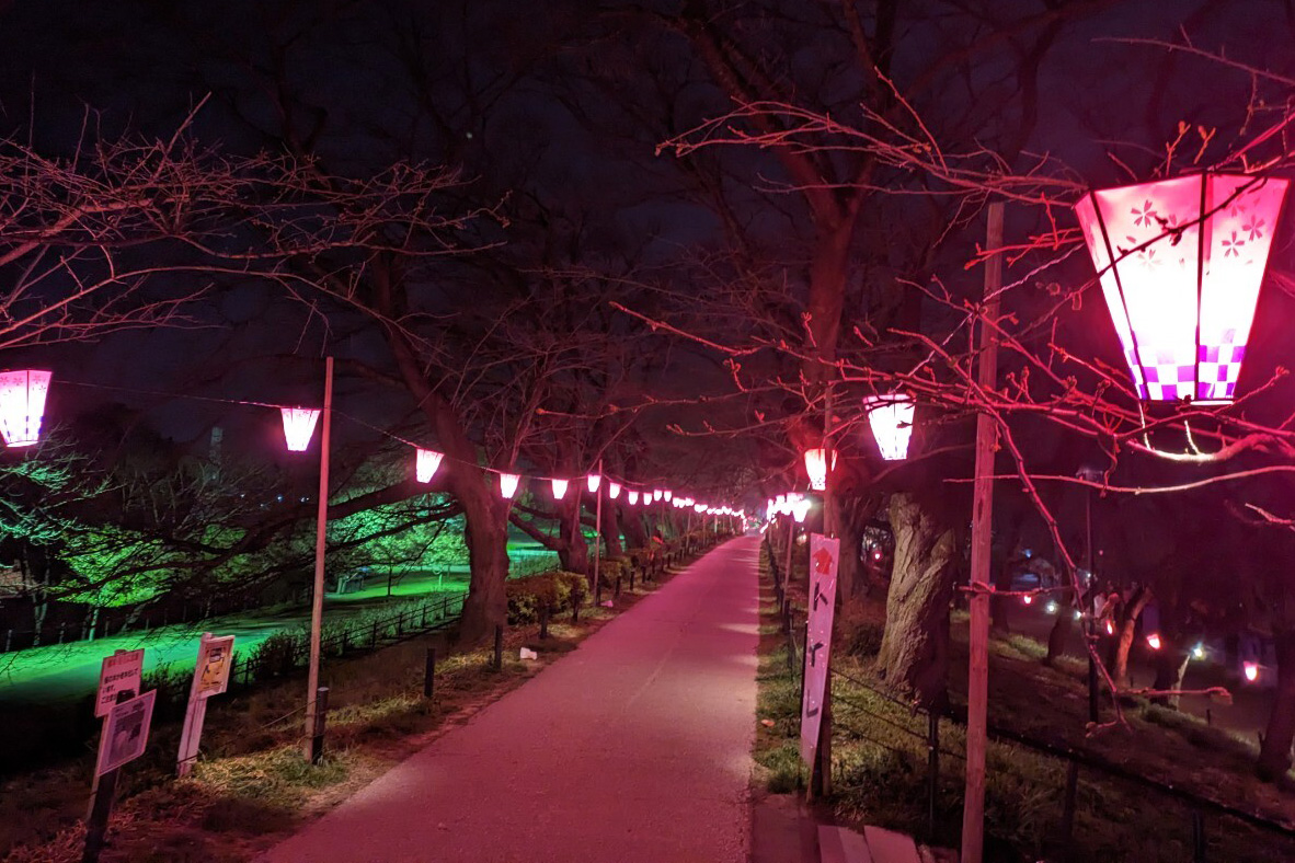 昨夜の様子